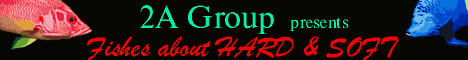 2A Group